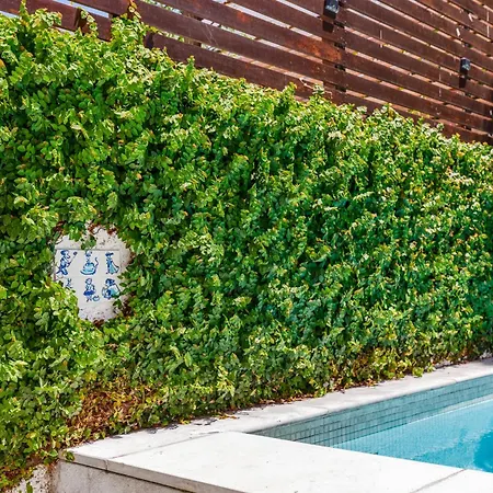 Haus Abel - Pool, Parking And Garden In The Heart Of Villa *