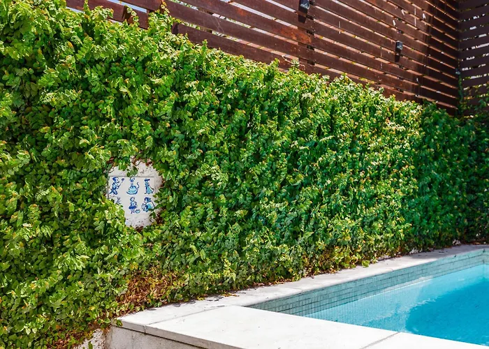 Haus Abel - Pool, Parking And Garden In The Heart Of Villa *